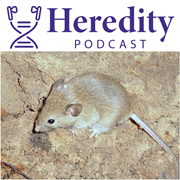 mouse below the Heredity Podcast logo